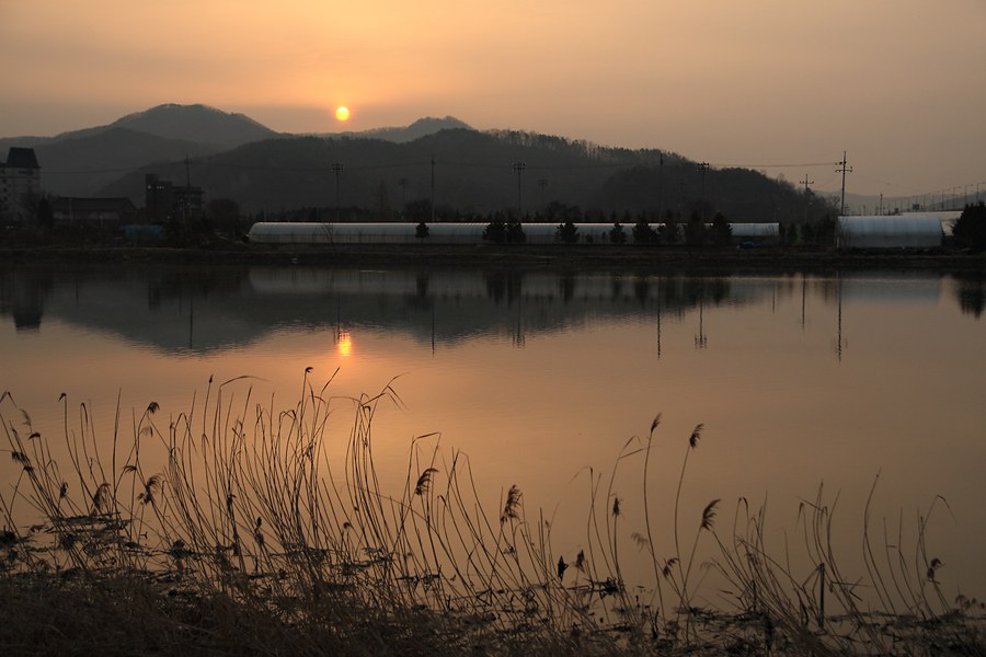 아침소경