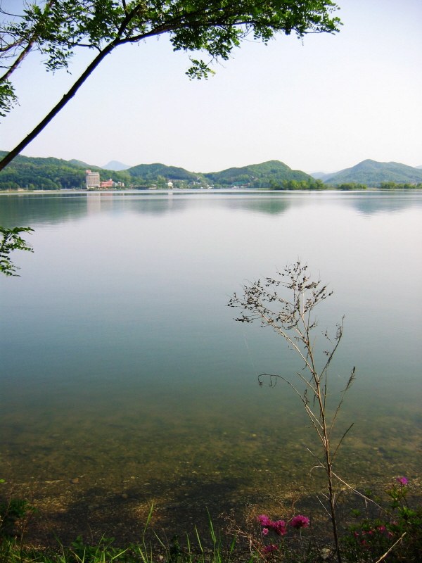 호수