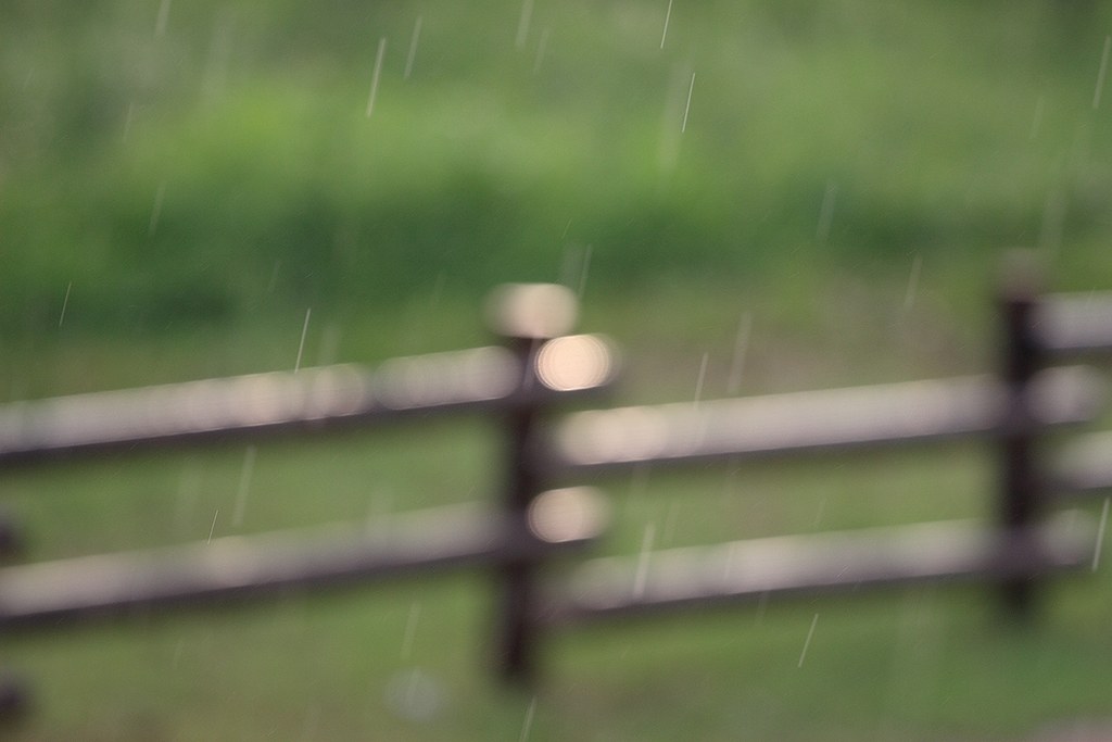 Rain 1